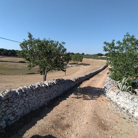 Masseria Catucci Agriturismo Alberobello Exteriér fotografie