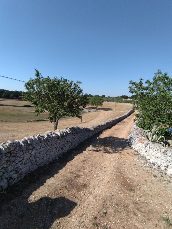 Masseria Catucci Agriturismo Alberobello Exteriér fotografie