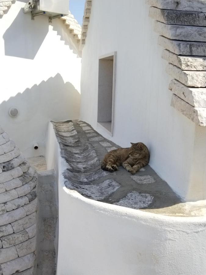 Masseria Catucci Agriturismo Alberobello Exteriér fotografie